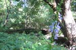 The bridge back across the creek on the way to hole 14. 